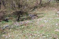 Monte cucuzzo  Aprile 2018 (12)
